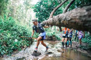 BIB: 
                            <button type="button" onclick="openModal(25372715)" class="btn btn-primary btn-sm float-right btn-popup" data-toggle="modal" data-target=".modal-high-quality">
                        <i class="fas fa-shopping-cart"></i> Add to Cart
                    </button>
                                            <button type="button" onclick="isThisMe(25372715, true)" class="btn btn-success btn-sm float-right btn-popup btn-isme hidden" data-toggle="tooltip" data-placement="bottom" title="นี่คือรูปของคุณใช่ไหม คลิกที่นี่เพื่อเอาเข้าอัลบั้ม">
                        <i class="fas fa-plus"></i> Add to album
                    </button>
                    <button type="button" onclick="isThisMe(25372715, false)" class="btn btn-warning btn-sm float-right btn-popup btn-isnotme hidden">
                        <i class="fas fa-ban"></i> Remove from album
                    </button>